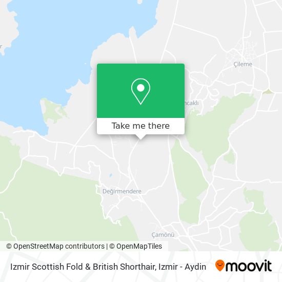 Izmir Scottish Fold & British Shorthair map