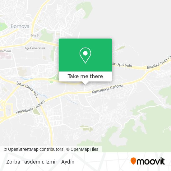 Zorba Tasdemır map