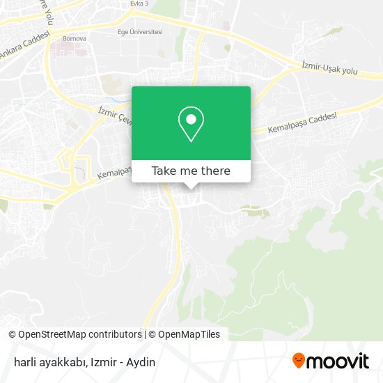 harli ayakkabı map