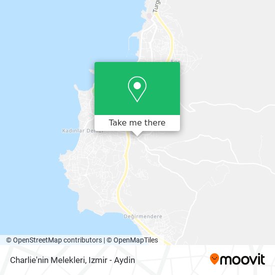 Charlie'nin Melekleri map