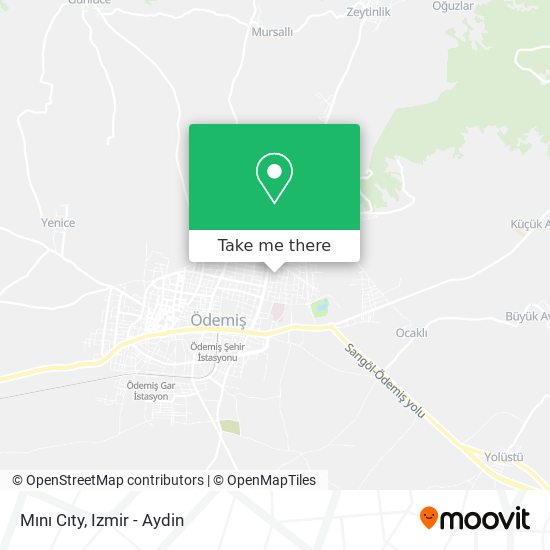 Mını Cıty map