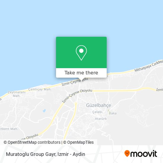 Muratoglu Group Gayr map