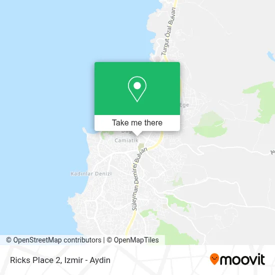 Ricks Place 2 map