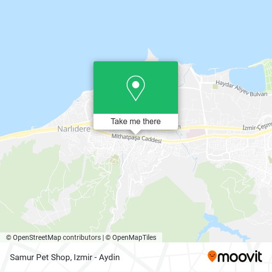 Samur Pet Shop map