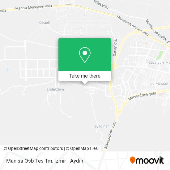 Manisa Osb Tes Tm map