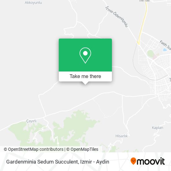 Gardenminia Sedum Succulent map