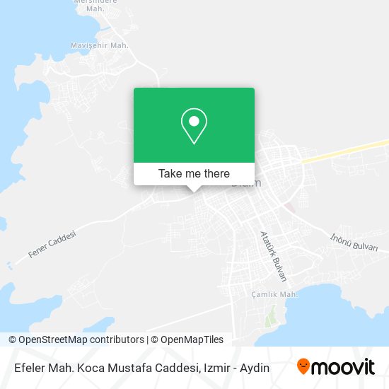 Efeler Mah. Koca Mustafa Caddesi map