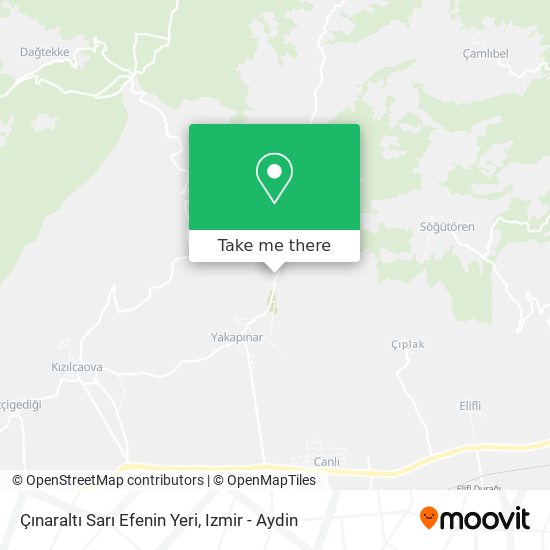Çınaraltı Sarı Efenin Yeri map