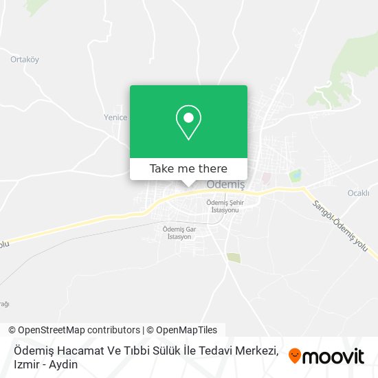 Ödemiş Hacamat Ve Tıbbi Sülük İle Tedavi Merkezi map