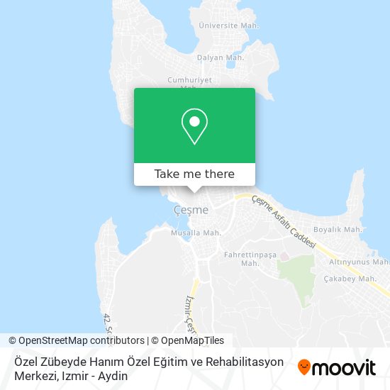 Özel Zübeyde Hanım Özel Eğitim ve Rehabilitasyon Merkezi map