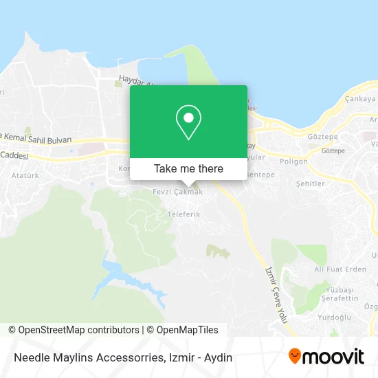 Needle Maylins Accessorries map