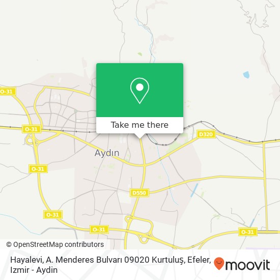 Hayalevi, A. Menderes Bulvarı 09020 Kurtuluş, Efeler map