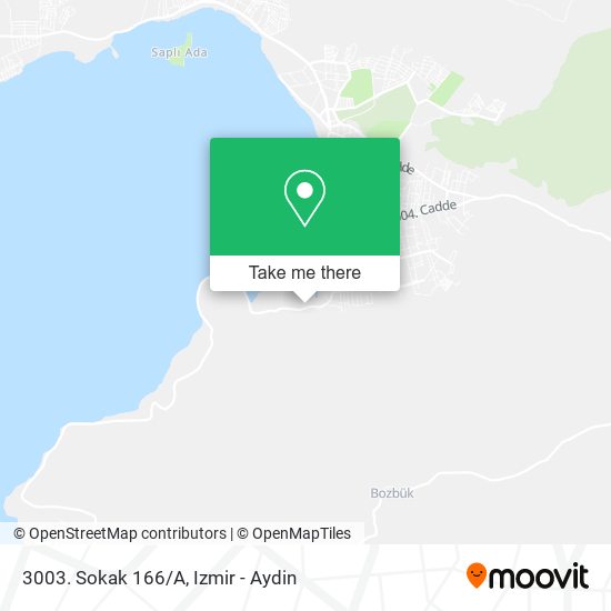 3003. Sokak 166/A map
