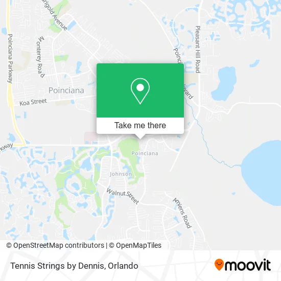 Tennis Strings by Dennis map