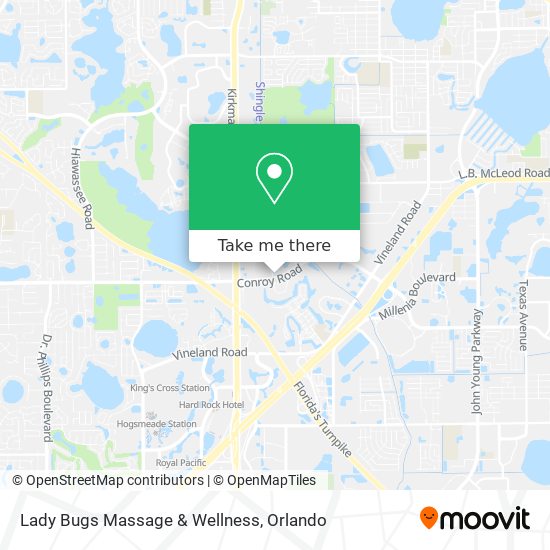 Lady Bugs Massage & Wellness map