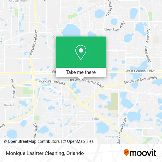 Mapa de Monique Lasitter Cleaning
