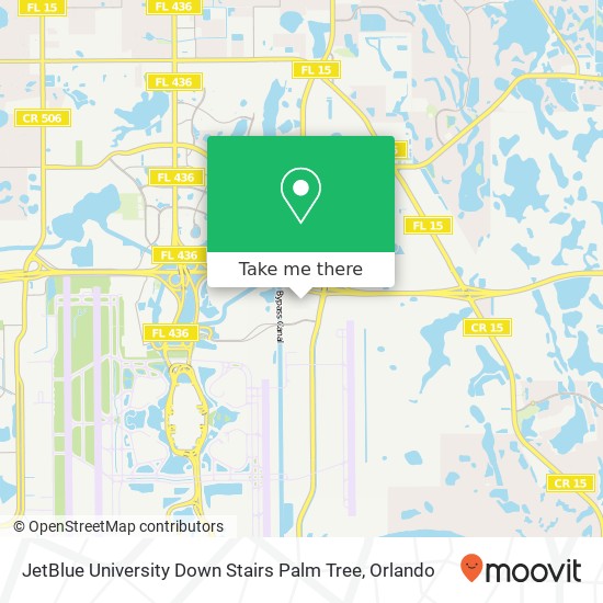 JetBlue University Down Stairs Palm Tree map