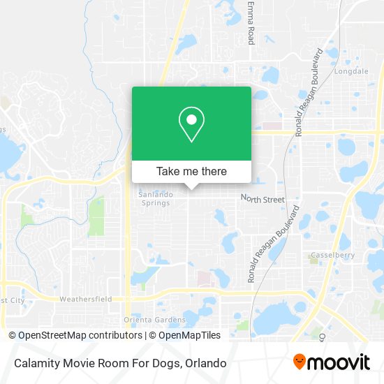 Mapa de Calamity Movie Room For Dogs