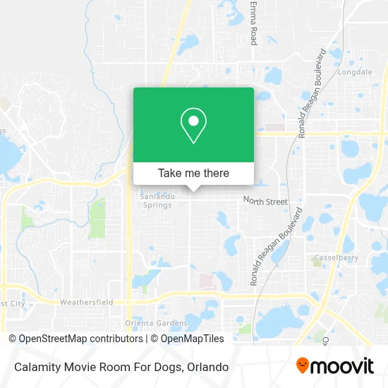 Calamity Movie Room For Dogs map