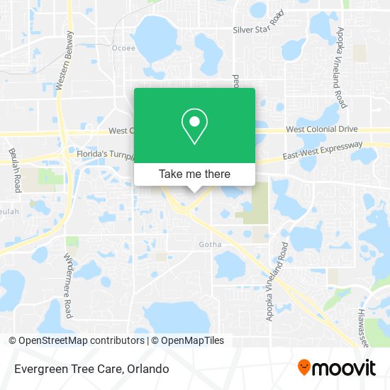 Evergreen Tree Care map