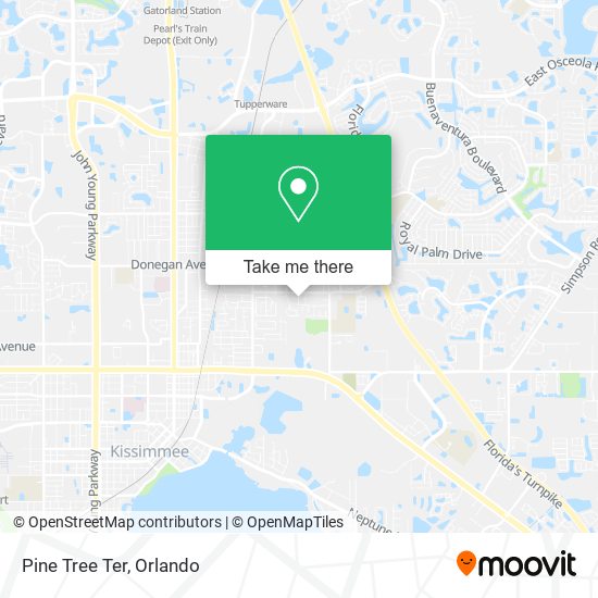 Pine Tree Ter map