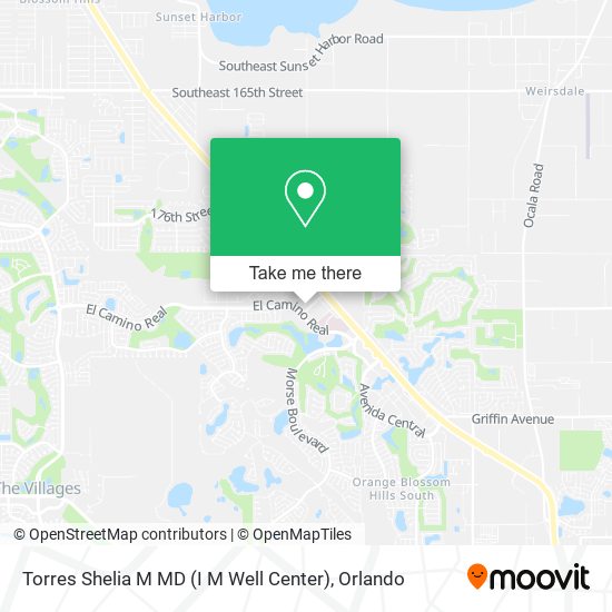Torres Shelia M MD (I M Well Center) map