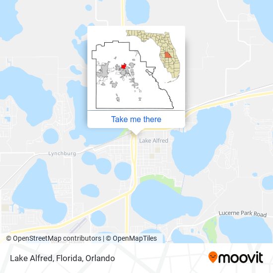 Lake Alfred, Florida map