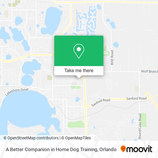 A Better Companion in Home Dog Training map