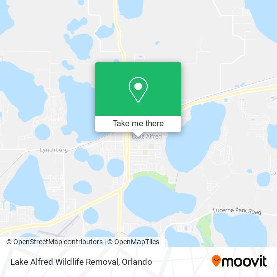 Lake Alfred Wildlife Removal map