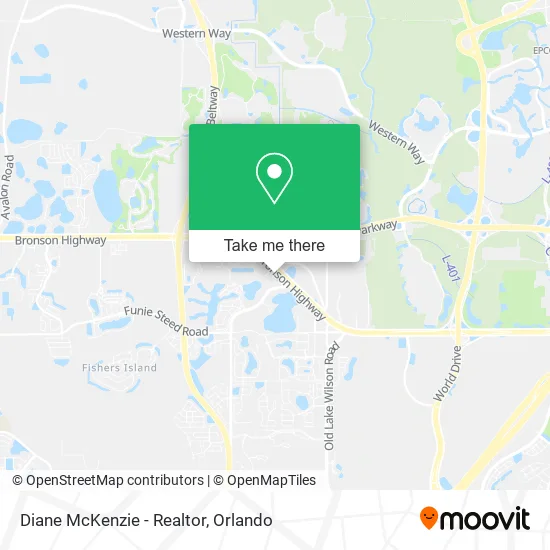 Diane McKenzie - Realtor map