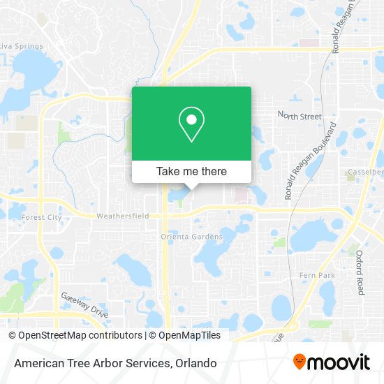 Mapa de American Tree Arbor Services