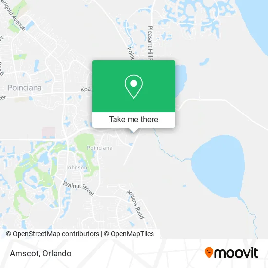 Amscot map
