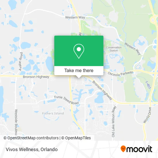 Mapa de Vivos Wellness