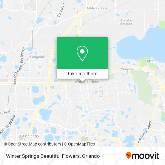 Mapa de Winter Springs Beautiful Flowers