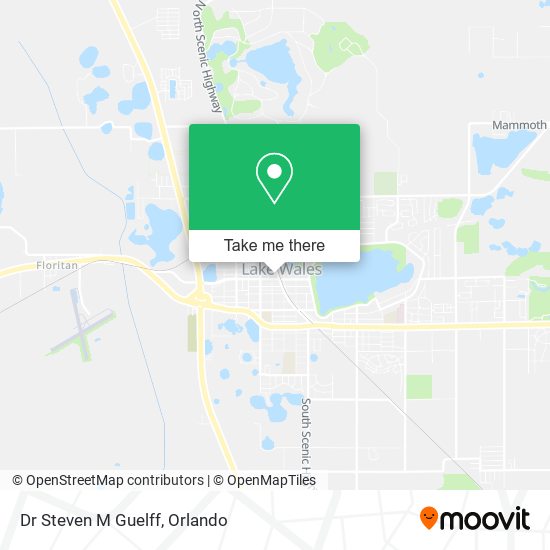 Dr Steven M Guelff map