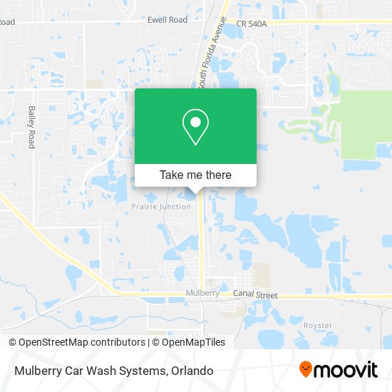Mulberry Car Wash Systems map