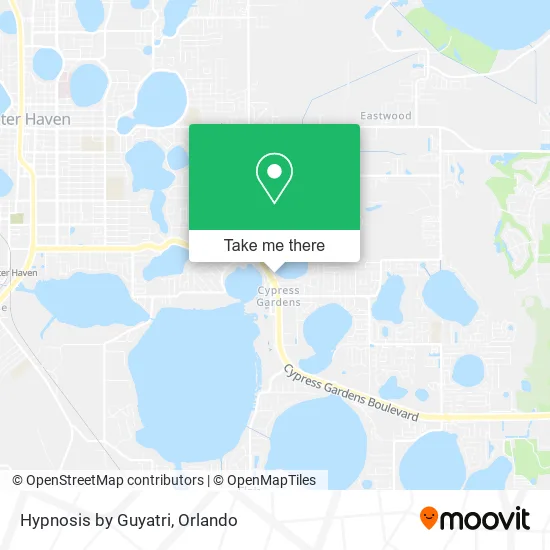 Hypnosis by Guyatri map