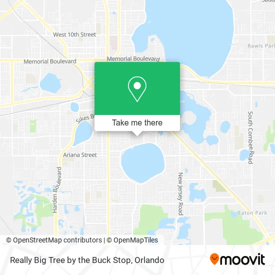 Really Big Tree by the Buck Stop map