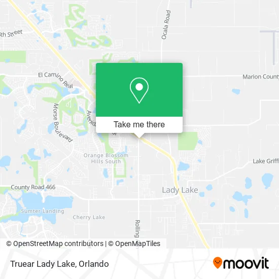 Mapa de Truear Lady Lake