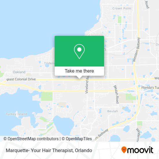 Mapa de Marquette- Your Hair Therapist