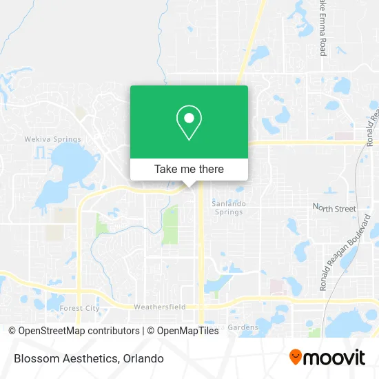 Blossom Aesthetics map