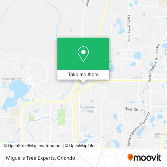 Miguel's Tree Experts map