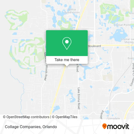 Collage Companies map