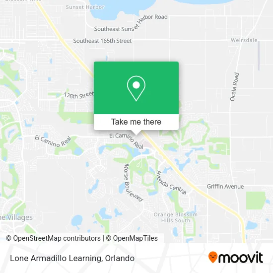 Lone Armadillo Learning map