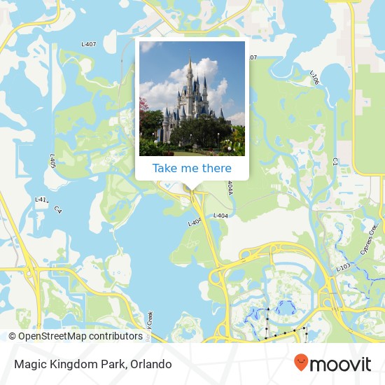 Magic Kingdom Park map