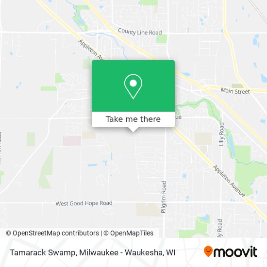 Mapa de Tamarack Swamp