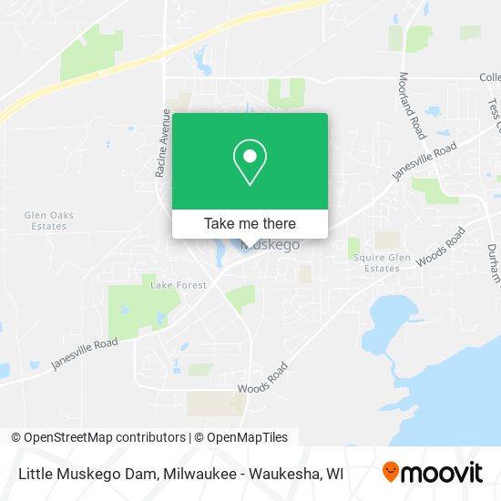 Little Muskego Dam map
