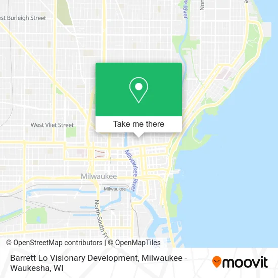 Mapa de Barrett Lo Visionary Development
