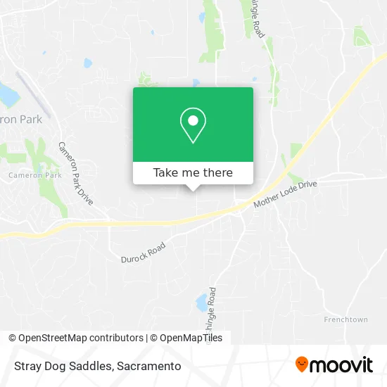 Stray Dog Saddles map