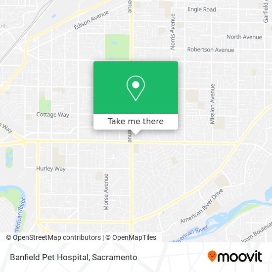 Banfield Pet Hospital map